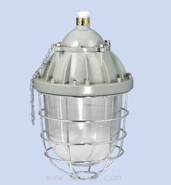 防爆燈應急解決方案 安能達防爆電器供應與專業(yè)制造